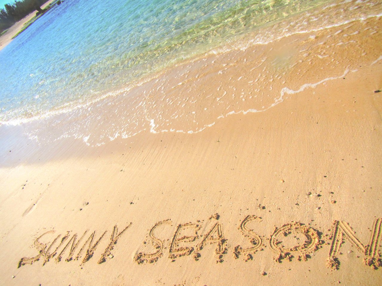 Aset(ドリンク付き)